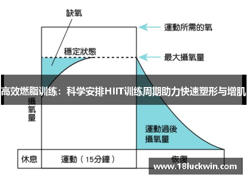 高效燃脂训练：科学安排HIIT训练周期助力快速塑形与增肌