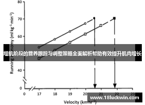 增肌阶段的营养跟踪与调整策略全面解析帮助有效提升肌肉增长