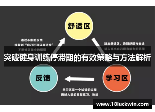 突破健身训练停滞期的有效策略与方法解析