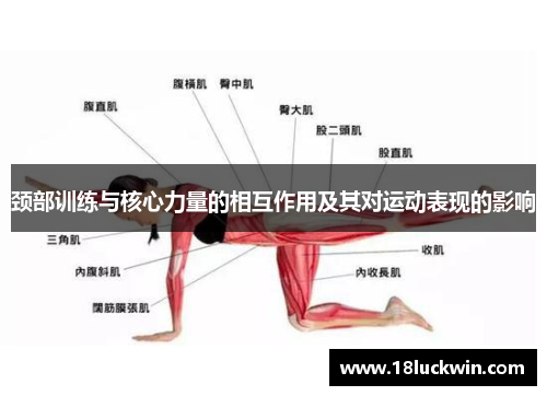 颈部训练与核心力量的相互作用及其对运动表现的影响